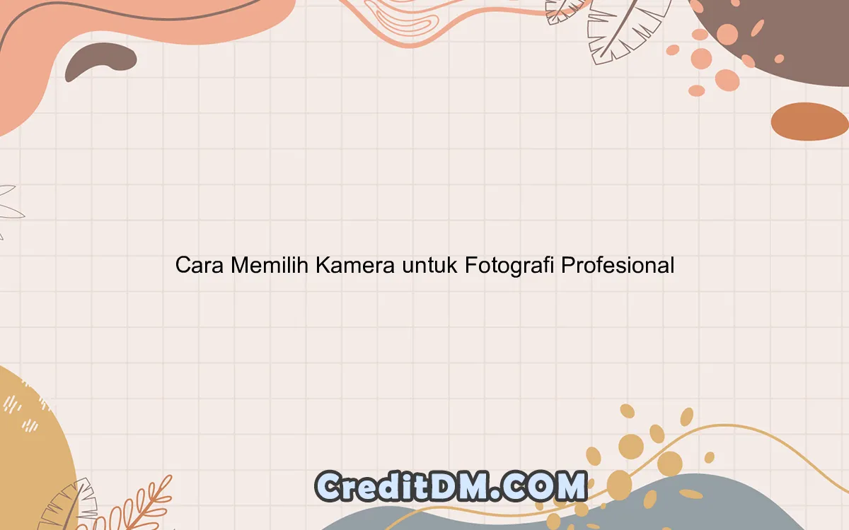 Cara Memilih Kamera untuk Fotografi Profesional