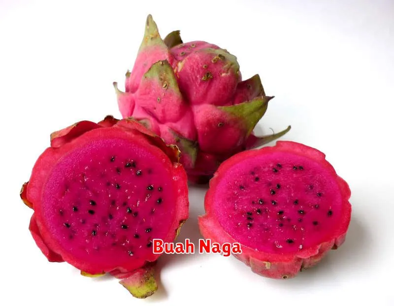 Buah Naga