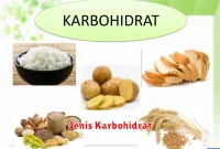 Jenis Karbohidrat