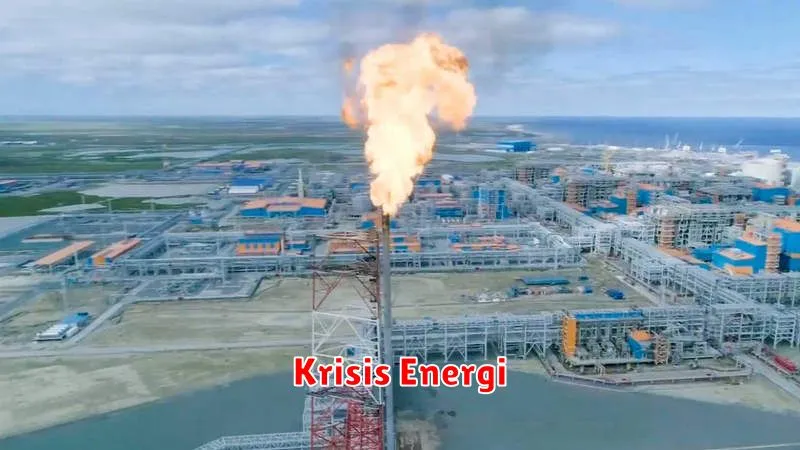 Krisis Energi