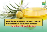 Manfaat Minyak Zaitun