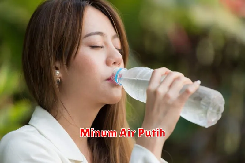 Minum Air Putih