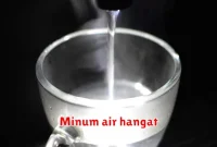 Minum air hangat