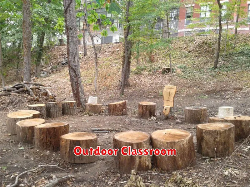 Outdoor Classroom