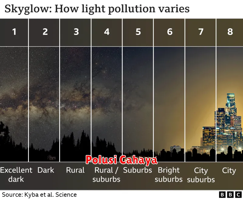 Polusi Cahaya