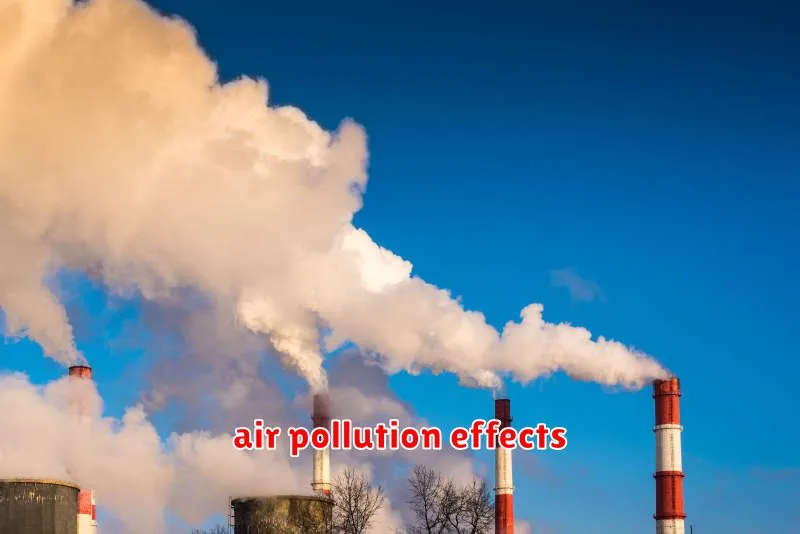 air pollution effects