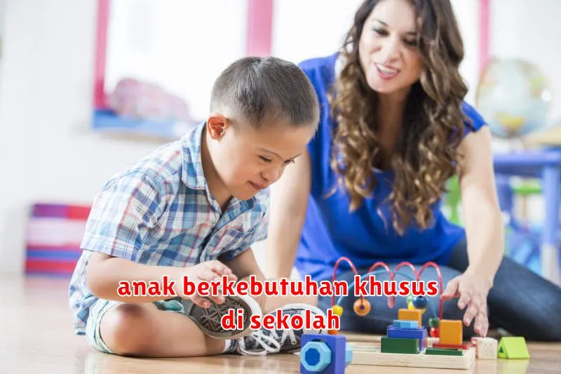 anak berkebutuhan khusus di sekolah