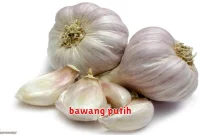 bawang putih