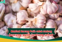 bawang putih jantung sehat