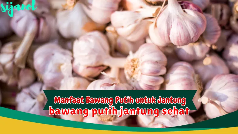 bawang putih jantung sehat