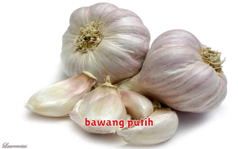 bawang putih