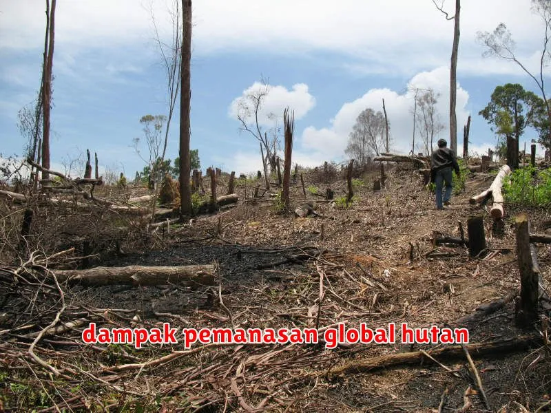 dampak pemanasan global hutan