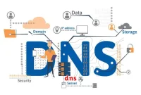 dns