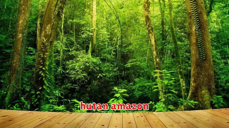 hutan amazon