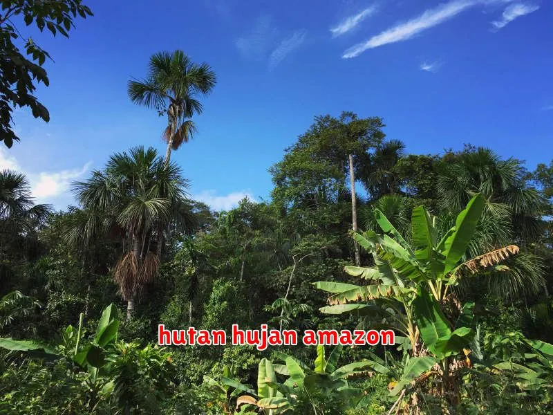 hutan hujan amazon