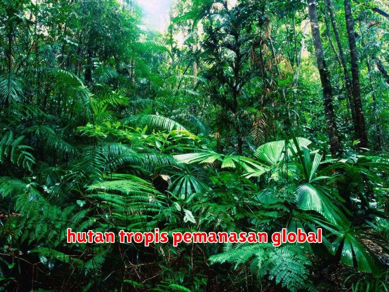 hutan tropis pemanasan global