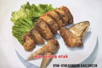 ikan untuk otak