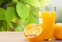 jus jeruk