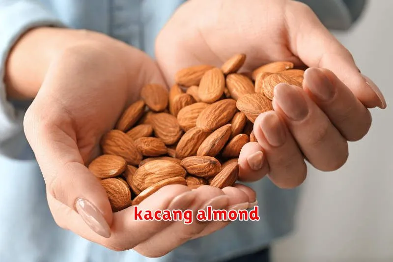 kacang almond