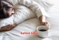 kafein tidur