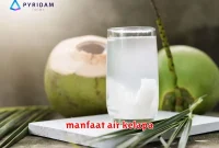 manfaat air kelapa