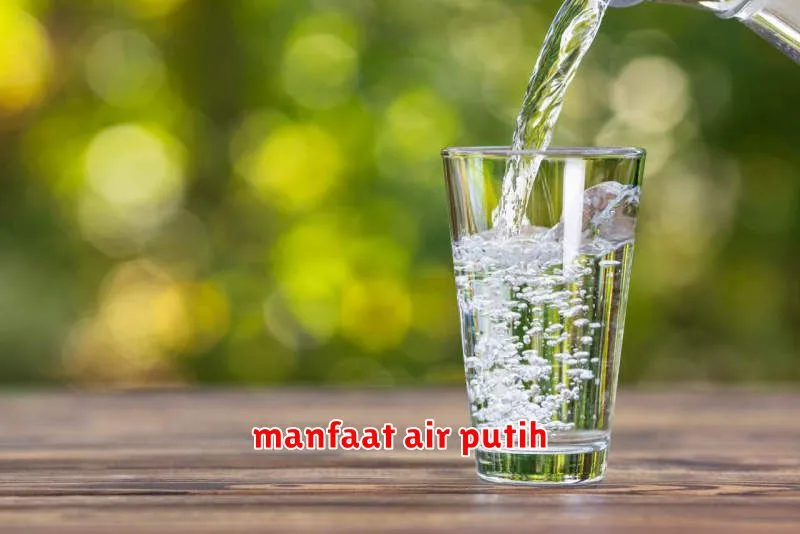 manfaat air putih