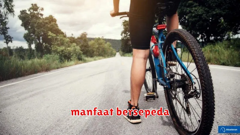 manfaat bersepeda