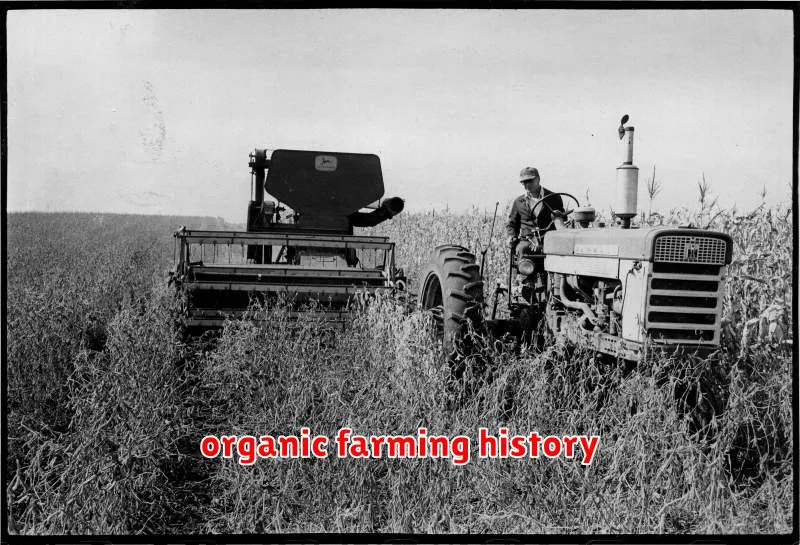 organic farming history