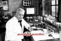 penemuan penicillin