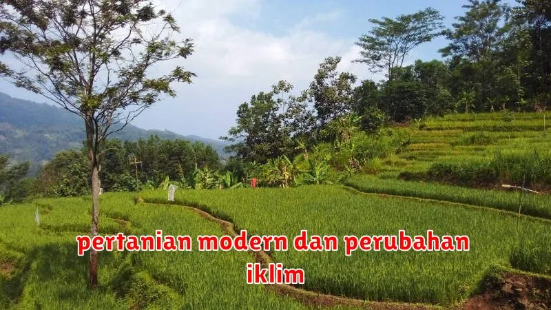 pertanian modern dan perubahan iklim