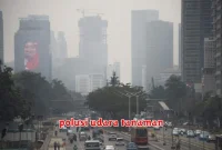 polusi udara tanaman