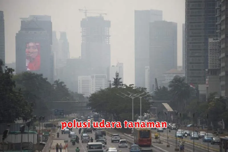 polusi udara tanaman