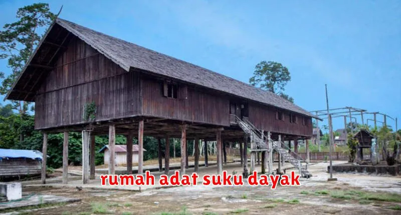 rumah adat suku dayak