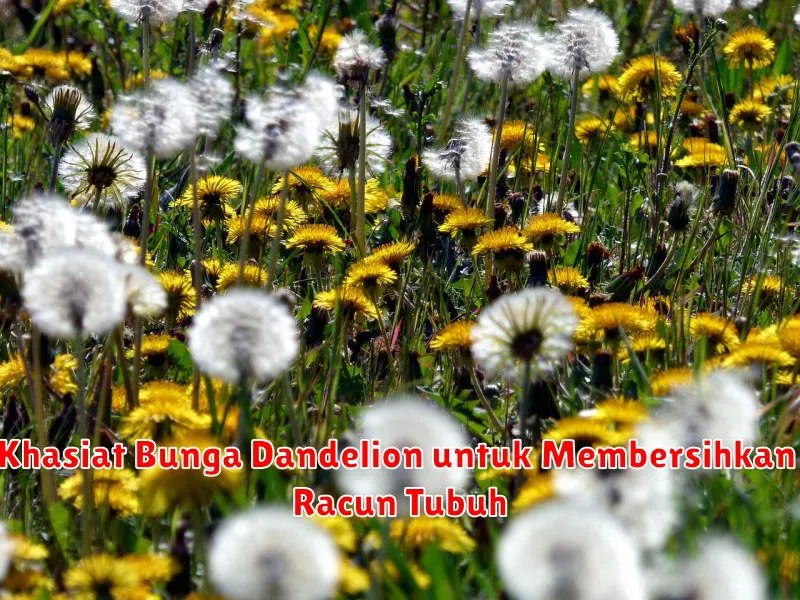 Khasiat Bunga Dandelion untuk Membersihkan Racun Tubuh