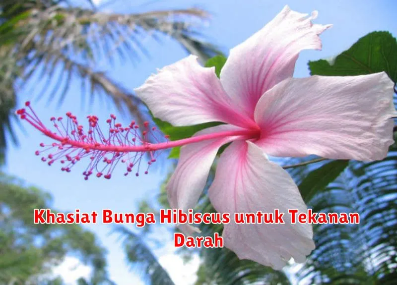 Khasiat Bunga Hibiscus untuk Tekanan Darah