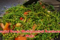 Khasiat Bunga Melinjo untuk Kesehatan Mata