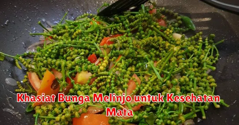 Khasiat Bunga Melinjo untuk Kesehatan Mata