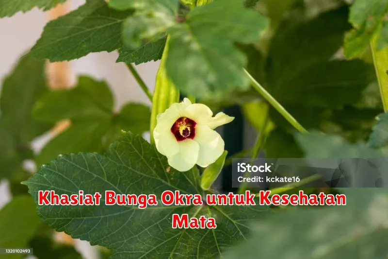 Khasiat Bunga Okra untuk Kesehatan Mata