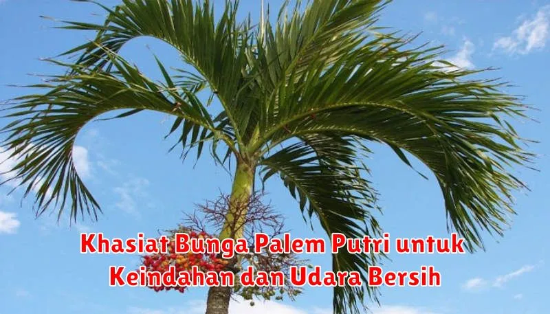 Khasiat Bunga Palem Putri untuk Keindahan dan Udara Bersih