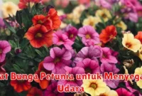 Khasiat Bunga Petunia untuk Menyegarkan Udara