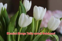 Khasiat Bunga Tulip untuk Relaksasi