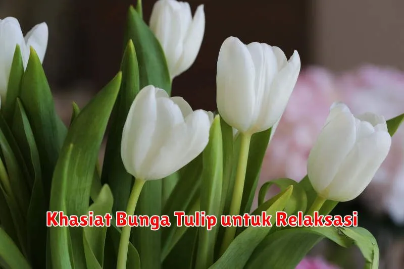 Khasiat Bunga Tulip untuk Relaksasi