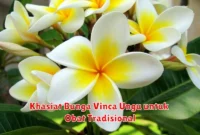 Khasiat Bunga Vinca Ungu untuk Obat Tradisional