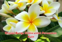 Khasiat Bunga Zinnia untuk Perawatan Kulit