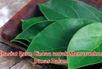 Khasiat Daun Cincau untuk Menurunkan Panas Dalam