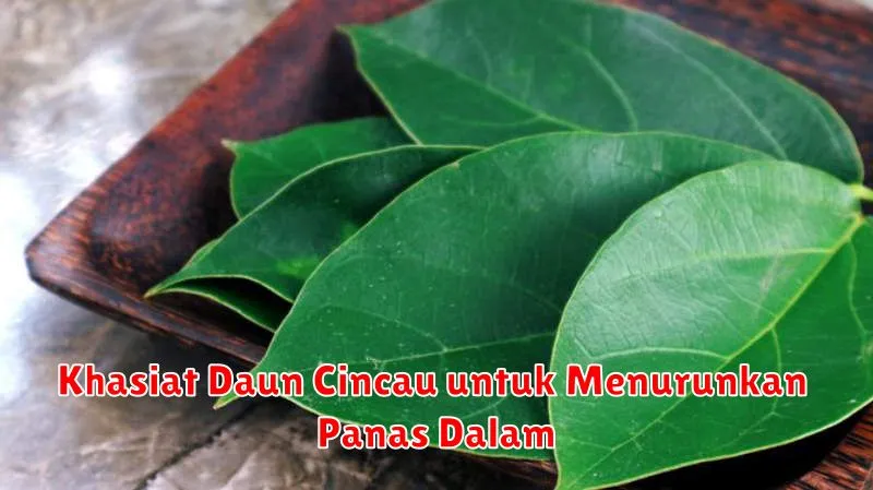 Khasiat Daun Cincau untuk Menurunkan Panas Dalam