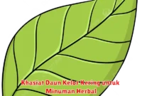 Khasiat Daun Kelor Kering untuk Minuman Herbal
