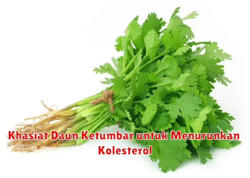 Khasiat Daun Ketumbar untuk Menurunkan Kolesterol