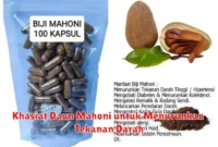 Khasiat Daun Mahoni untuk Menurunkan Tekanan Darah