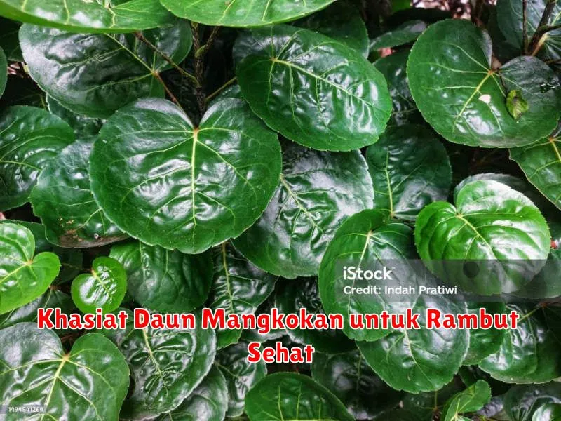 Khasiat Daun Mangkokan untuk Rambut Sehat